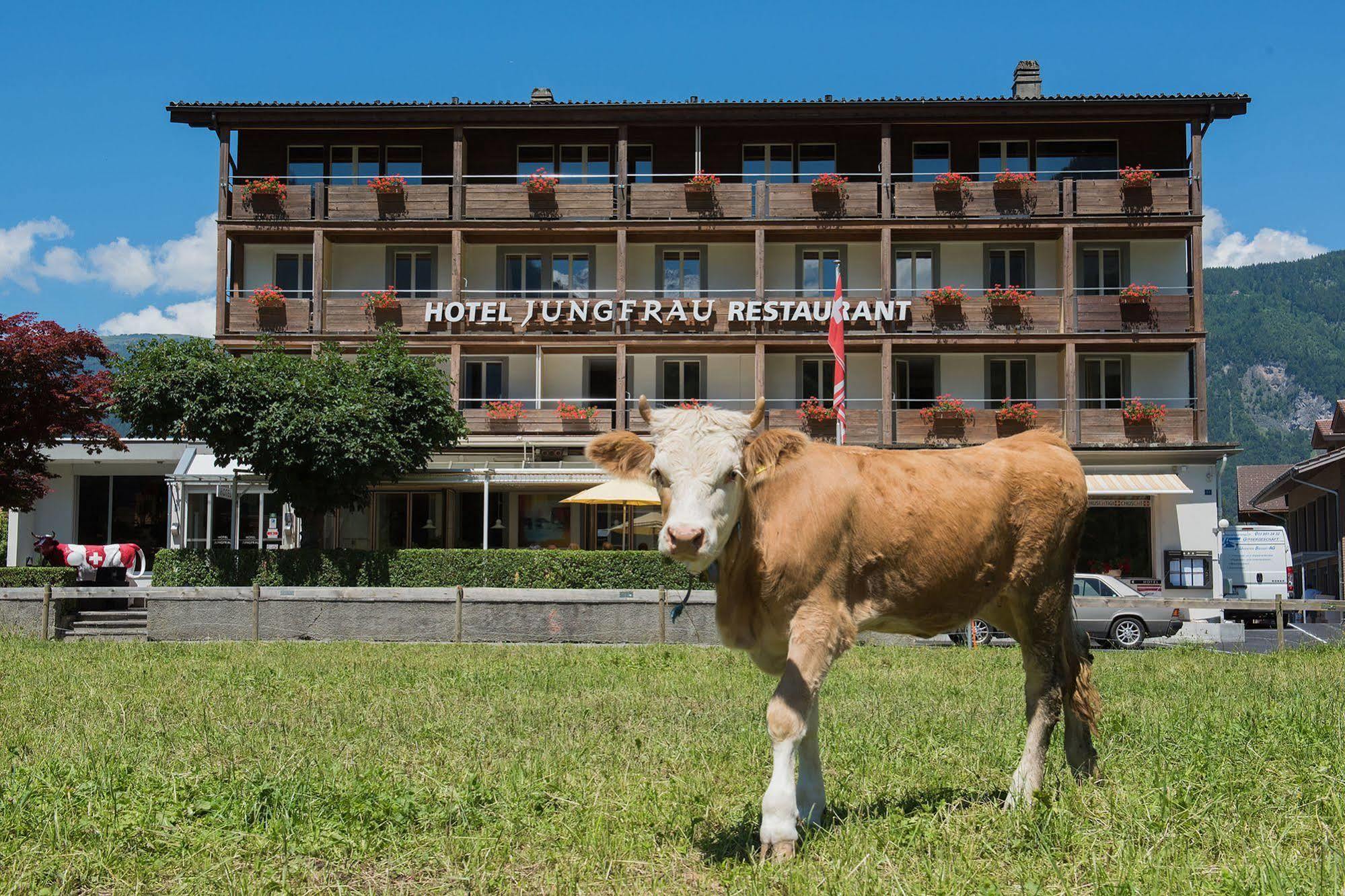 Jungfrau Hotel Wilderswil Exterior photo