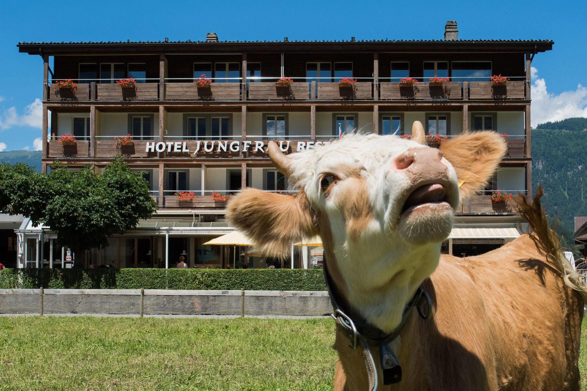Jungfrau Hotel Wilderswil Exterior photo